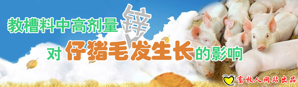 教槽料中高劑量鋅對仔豬毛發生長的影響