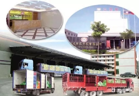 大臺農的“無標準”營銷這么牛？輻射全國創30億銷售額