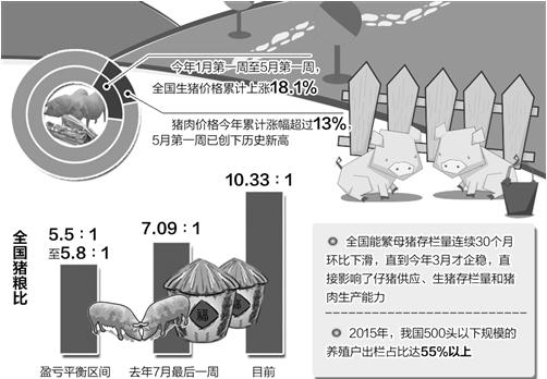 養豬業大而不強導致豬肉價格每隔幾年出現大幅波動