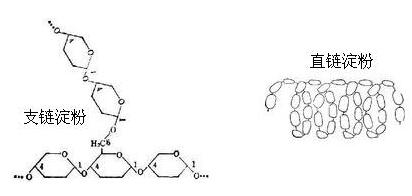 直鏈支鏈淀粉比、膨化、儲存時間和酶制劑對斷奶仔豬玉米淀粉體內(nèi)、體外消化率的影響