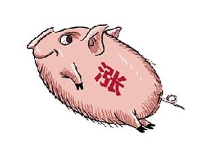 春節(jié)期間豬肉價格會長上漲嗎？豬肉價格上漲原因是什么？