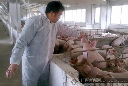 香噴噴的豬肉背后有怎樣的堅守?記者帶您去探訪