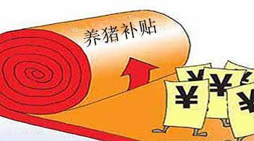農村養豬補貼知曉率僅6.25%?補貼究竟如何惠及養豬人