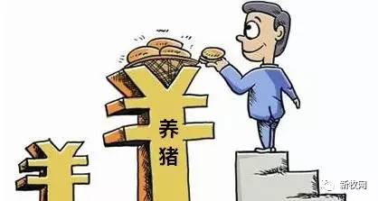 母豬產能連降40個月至歷史最低，2017還會是養豬黃金年？