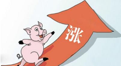 雞年首個寒潮預警來襲降溫10度，是否會拱高豬價？