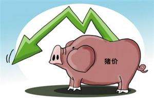 農業部預計：明年豬價穩中略降 整體波動不大
