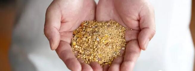 使用獸藥時要注意啦！《獸藥質(zhì)量標(biāo)準(zhǔn)》更正29項