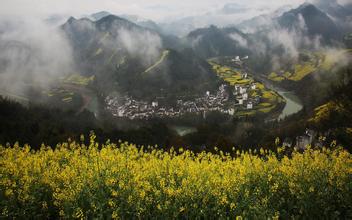 三方面減少夏季豬熱應激

(來源：中國農業新聞網)