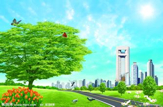德州地區(qū)玉米市場價(jià)格繼續(xù)下跌