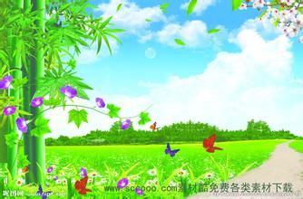 為什么必須給牛飼喂青粗飼料?